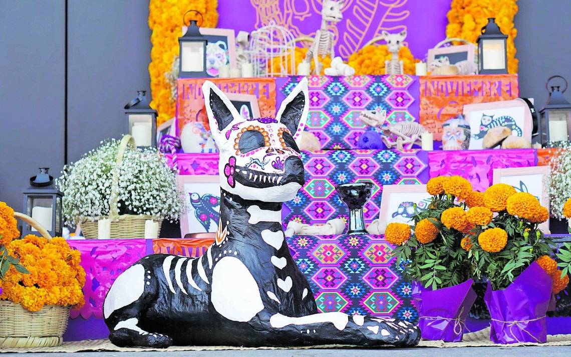 Ofrenda Especial Para Las Mascotas Diario De Querétaro Noticias